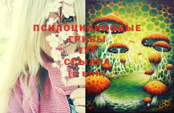 прущая мука Верхний Тагил