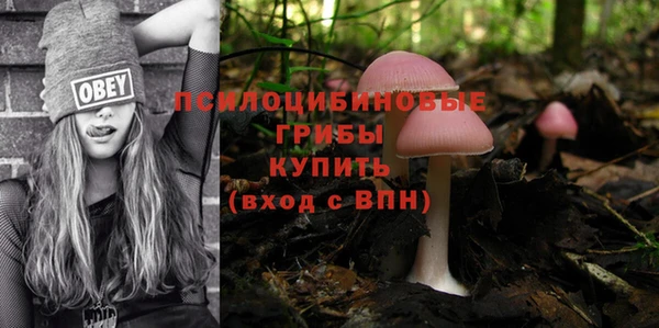 шишки Верея