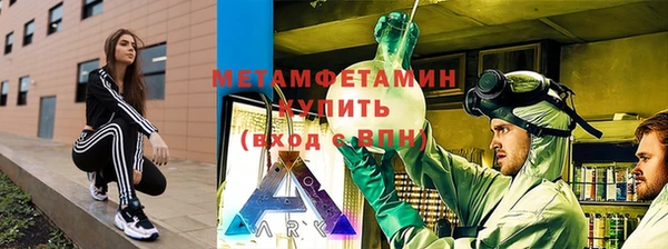 шишки Верея